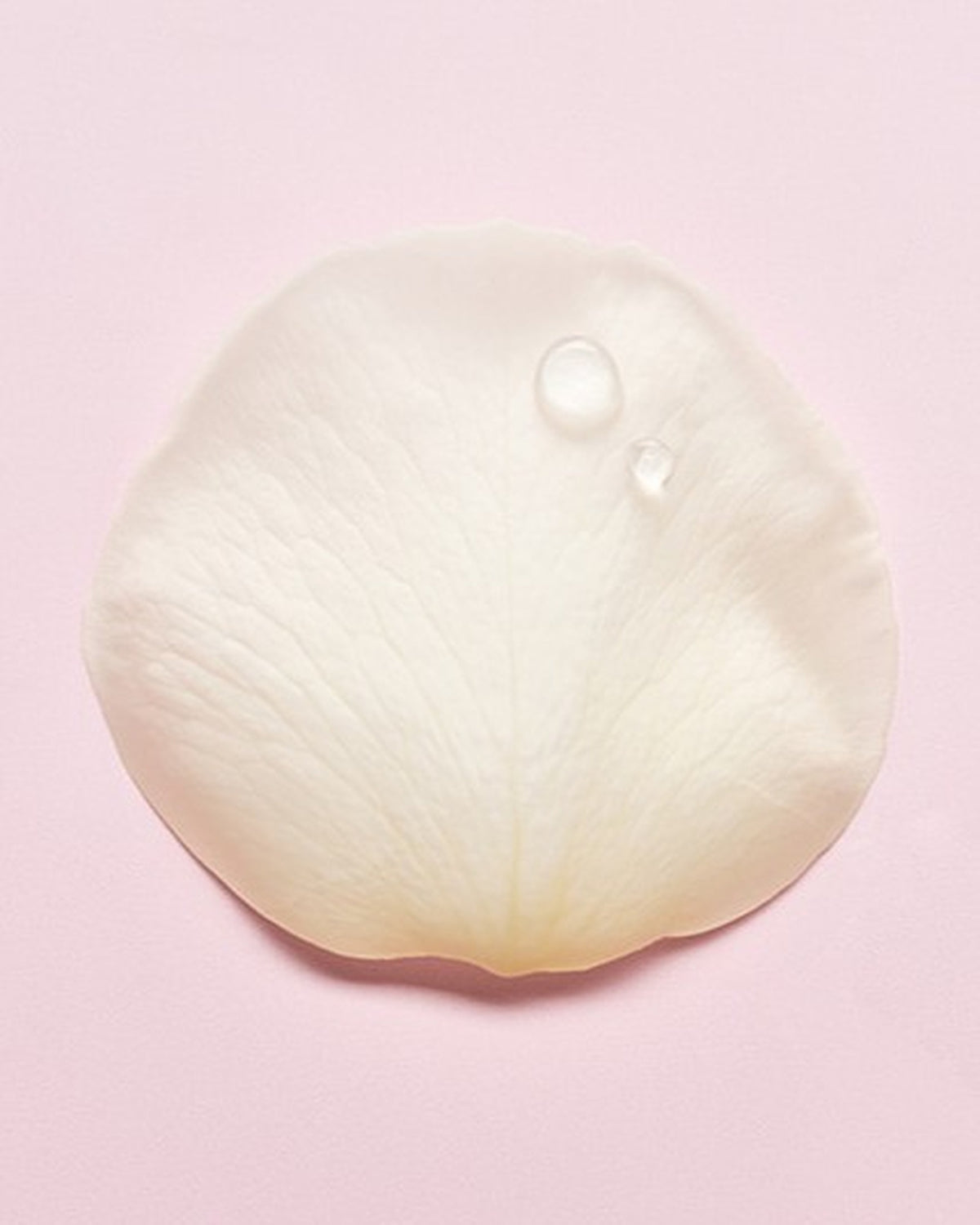 [ luvum ] Slow Aging Phyto Collagen Gel Mask 38g 5 Sheets