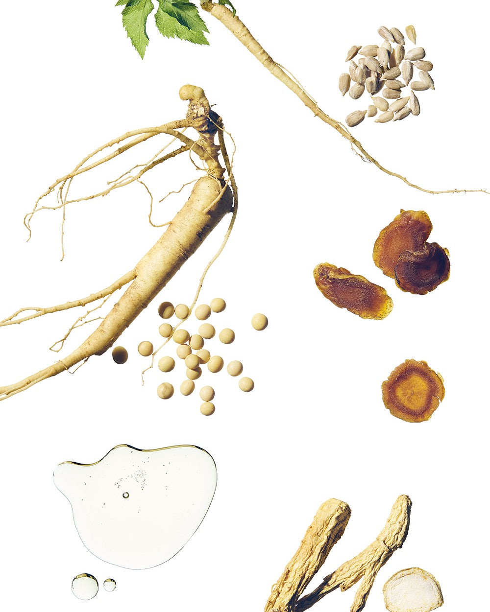 [ Beauty of Joseon ] Revive Serum: Ginseng + Snail Mucin 30ml