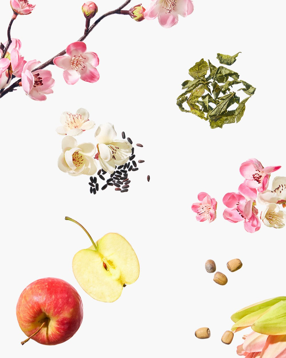 [ Beauty of Joseon ] Apricot Blossom Peeling Gel