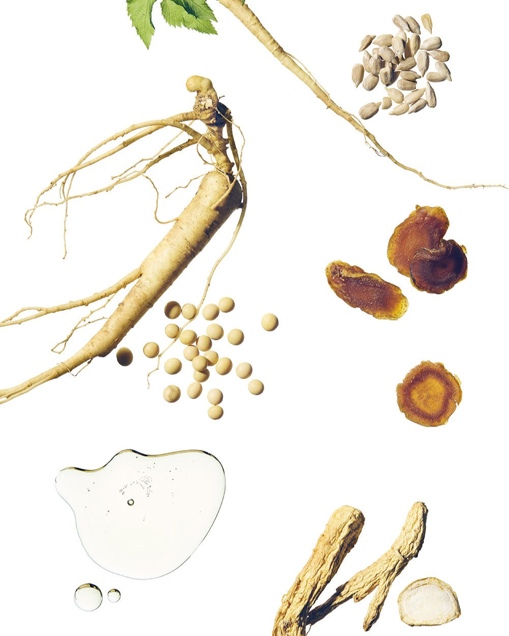 [ Beauty of Joseon ] Ginseng Cleansing Oil 210ml