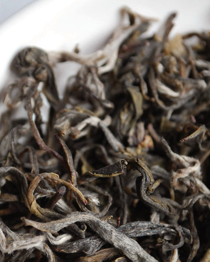 [ KAINE ] Kombu Hydrating Daily Cleanser 155g