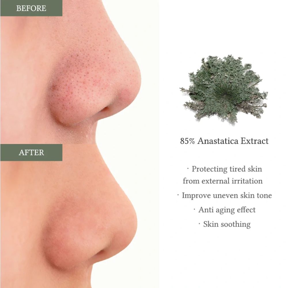 [ Dr.Althea ] Anastatica Skin Conditioning Pad