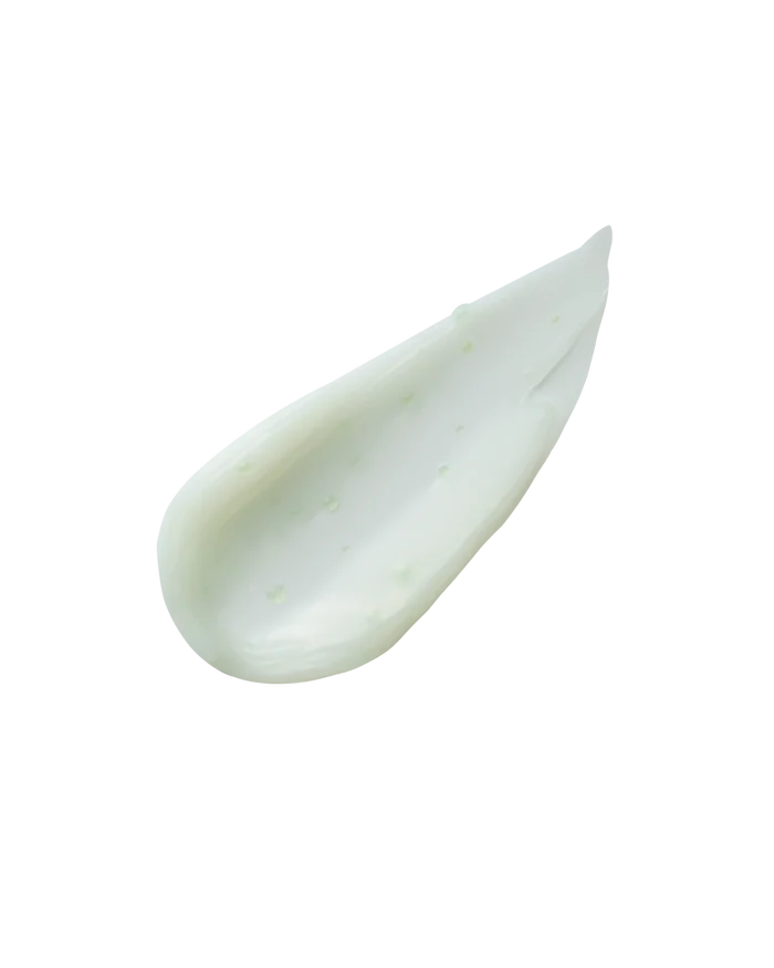 [ molvany ] Artichoke Calming Care Soothing Cream 100ml