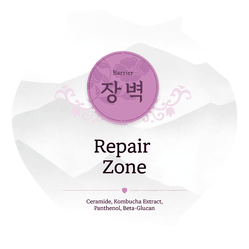 Repair Zone